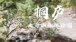 Travel Vlog#09| 浙西南桐庐｜大奇山国家森林公园｜夏日清凉避暑好去处｜Gracie's Vlog