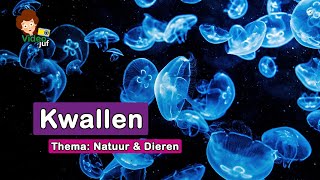 Kwallen