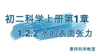 初二科学上册第1章 1.2.2 水的表面张力