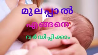 മുലപ്പാൽ എങ്ങനെ വർദ്ധിപ്പിക്കാം 100%result /Tips for pregnant moms malayalam#ep5