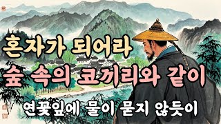 나를 괴롭히는 인연은 끊어내고 홀로 행복하라 | 철학 | 오디오북 | 주역 | 채근담 | 석가모니 |법구경 | 숫타니파타 | 불경 외 | 인생 명언 | 조언 | 수면 명언