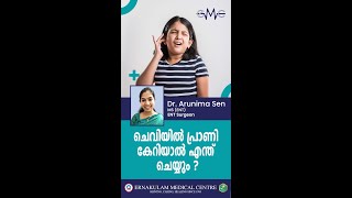 ചെവിയിൽ പ്രാണി കേറിയാൽ എന്ത് ചെയ്യണം ? എന്ത് ചെയ്യരുത് ?