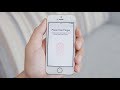 How Does Fingerprint Scanning Work?