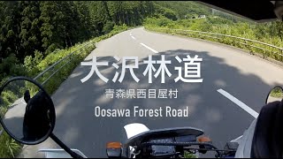 初心者の2st 林道オフロードバイク  大沢林道編１Beginners Forest road 2st Dirt Bike CRM250RM