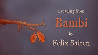 Bambi: A Life Story from the Forest