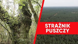 Wirtualna Polska wspiera leśne grupy strażnicze