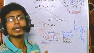 Cancer biology part 4 cell strain and cell line