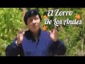 EL ZORRO DE LOS ANDES - Éxitos De Colección Volumen Completo ♥️♥️