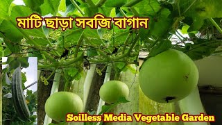 মাটি ছাড়া সবজি বাগান করে সফল Green Friends/soilless media, light weight media/