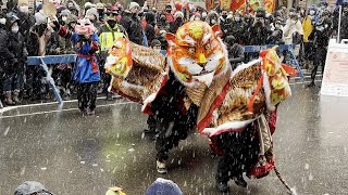 Tiger Buddha Lion Dance Boston Chinese Lunar New Year Parade 2022  舞獅 舞狮 múa lân sư tử 农历新年 虎 老虎