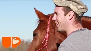 Therapy Horses That Help Veterans To Live A Better Life!