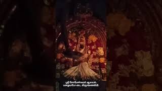 சித்ரா பௌர்ணமி முன்னிட்டு சிறப்பு அலங்காரம். #krishnagirisomeshwarartemple #krishnagiri