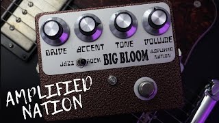 Amplified Nation: Big Bloom Overdrive Demo