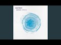 Industrious (2025 Remaster)