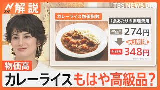 止まらない物価高…カレーライスもはや高級品？ 1食あたりの調理費用274→348円に【Nスタ解説】｜TBS NEWS DIG