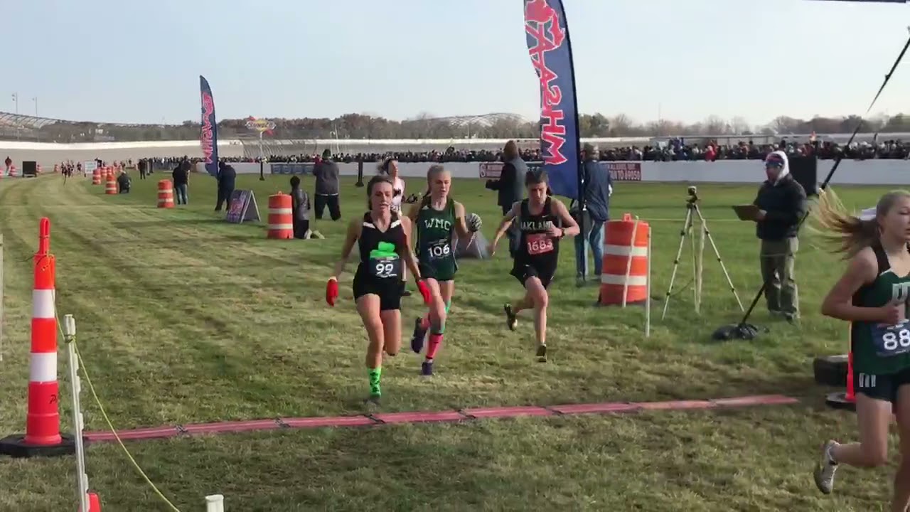 See Division 4 All-state Girls Cross The Finish Line At 2021 MHSAA ...