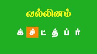 மெய் எழுத்துக்கள் | Learn Mei Eluthukkal Tamil Alphabets in Tamil for Kids | Learn Tamil Alphabets