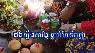 ពោះម៉ាយម្លូស្លា