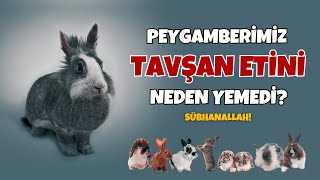 Sübhanallah! Peygamberimiz Neden Tavşan Etini Yememiş ve Yemeyi de Reddetmiştir?