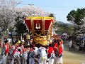 2011 育波八幡神社祭礼 1