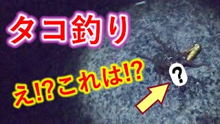 【タコ釣り】タコジグで釣ったタコに付いてたものに仰天！　奇跡の１匹　　初心者のためのタコ釣り講座　（ナイトゲーム　防波堤）　2020年8月18日釣行