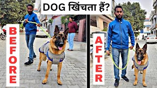 Stop Dog Leash Pulling in 3 Days !! 100% Results