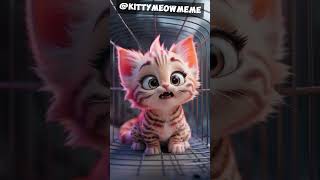 peach cat?!! is this kitten peach?!!🍑🍑😱 #short #shortviral #viral #cat #kitten #trending #funny #ai