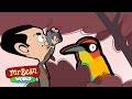 Mr Bean Finds a Rare Bird! | Mr Bean Animated Season 2 | Funny Clips | Mr Bean World