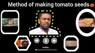 ||Method of making tomato seeds||🍅 ಟೊಮೊಟೊ ಬೀಜ ಮಾಡುವ ವಿಧಾನ|| #organicseeds #organictomatoeseeds