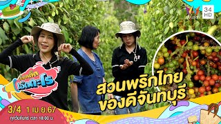 สวนพริกไทย ของดีจันทบุรี | เรื่องเด็ดเอ็ดตะโร | 1 เม.ย.67 (3/4)