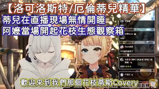 【洛可洛斯特/厄倫蒂兒精華】蒂兒在結束直播現場開睡  阿嬤與現場1390人共同觀察花枝生態箱    #洛可洛斯特 #厄倫蒂兒