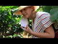 visiting a coffee farm colombia travel vlog things to do in medellin