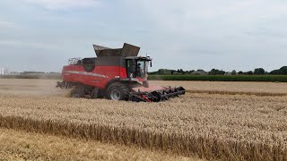 Boerderij Zevenbergen Zuidland  Het dorsen, persen en pakken