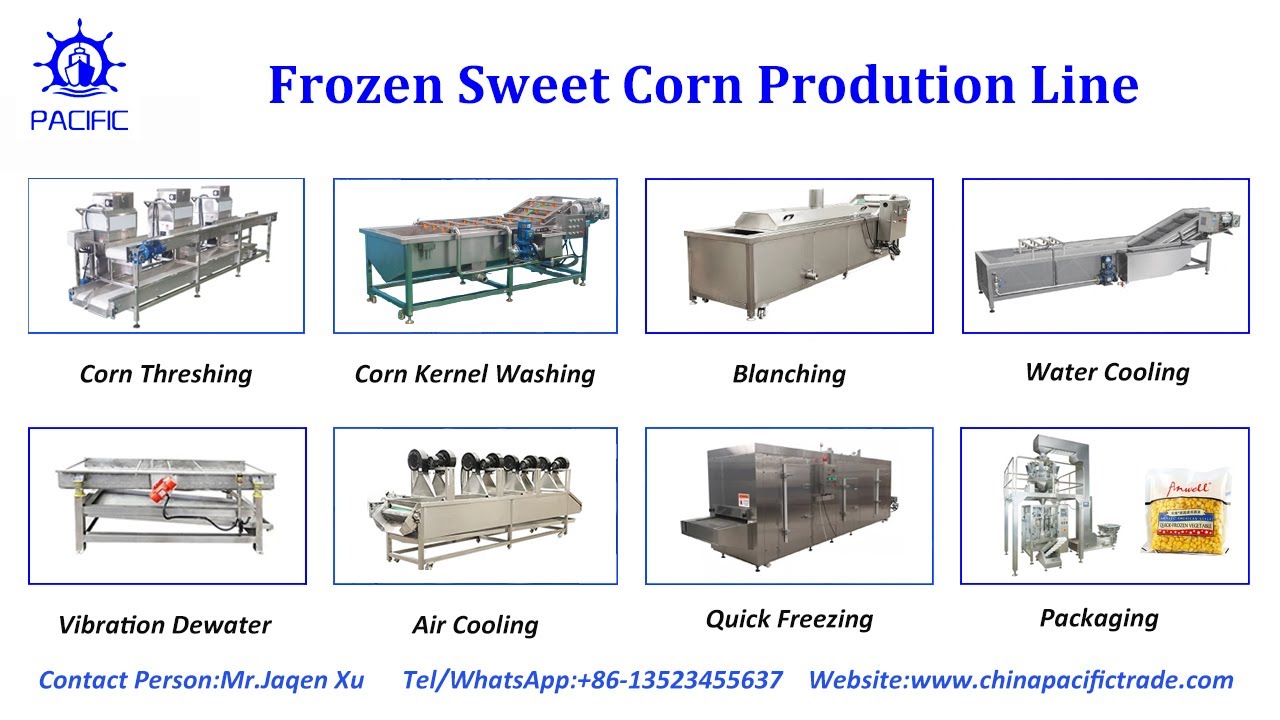 Frozen Sweet Corn Production Line|Sweet Corn Processing Plant|Fresh ...