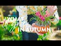 What to Plant in Autumn & Fall | Spring Bulb Special!