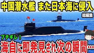 【ゆっくり解説】中国の潜水艦がまた日本海に侵犯してきた...しかしすぐに発見されてしまい次の瞬間には...