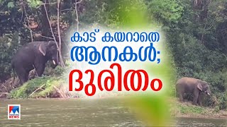 'ഇവിടെ നിറയെ കാട്ടാനകളുണ്ട്, കൂടെ അരിക്കൊമ്പന്‍ എന്ന പേടിസ്വപ്നവും '​|Athirappilly | wild animals