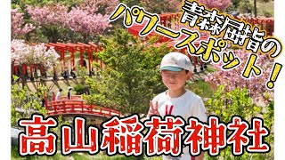 青森県屈指のパワースポット、高山稲荷神社に行ってみた‼️（千本鳥居は2:30あたりです）