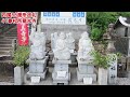 【お遍路】41番札所龍光寺 神仏習合の面影が残るお寺【四国88箇所巡礼】