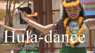 かわいい☆フラダンス(^^♪　 HULA-DANCE  FESTIVAL  JAPAN