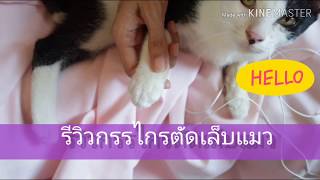 รีวิวกรรไกรตัดเล็บแมวแบบบ้านๆ