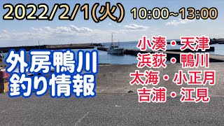 外房鴨川エリア釣り情報2022/2/1(火)10:00~13:00