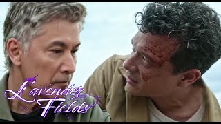 Lavender Fields December 27, 2024 Advance Full Episode 85/Story Telling