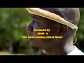 Mwenje Mathole (A Dedication To Baba Guti) 'Gamba Re Ivhangeri'
