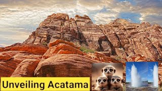 Exploring the Atacama Desert: The Driest Place on Earth 2024