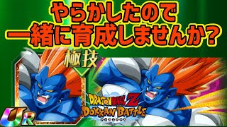 「【ドッカンバトル】#39」極技合体13号の虹への道のり！【合体13号】【DragonBallZDokkanBattle】