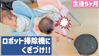 生後9ヶ月】双子が大注目!! ロボット掃除機にくぎづけ!!👶👶双子生後292日目