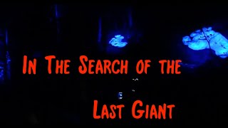 A Night Walk in Search of the Last Giant | Magical Tonga Lumina Trails in Mont-Tremblant #montreal