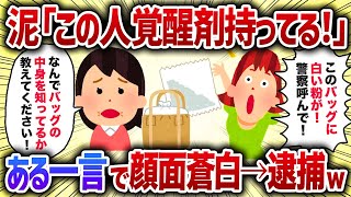 泥「この人覚醒剤持ってる！」ある一言で顔面蒼白→逮捕ｗ【女イッチの修羅場劇場】2chスレゆっくり解説