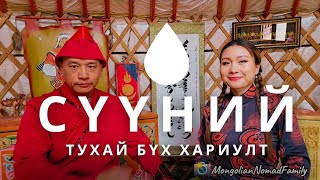 МОНГОЛЧУУД СҮҮ ШИНГЭЭЖ ЧАДДАГ УУ?| Хүн бүр мэдэх ёстой судалгааны талаар ярьж өгье